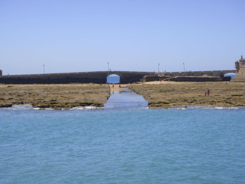 Cádiz: Bay of Cádiz Catamaran Tour with Host - The Constitution Bridge Moment You Should Watch for