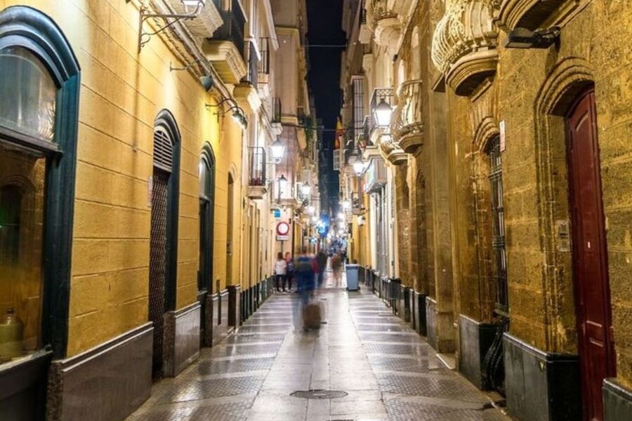 Cadiz: Private custom tour with a local guide - The Core Walk: Cathedral, Roman Theatre, and City Scale