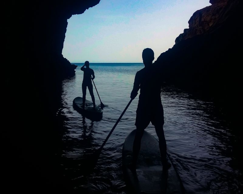 Cala Ratjada: Stand Up Paddle morning or afternoon Tour - Key reasons this SUP tour earns a near-perfect score