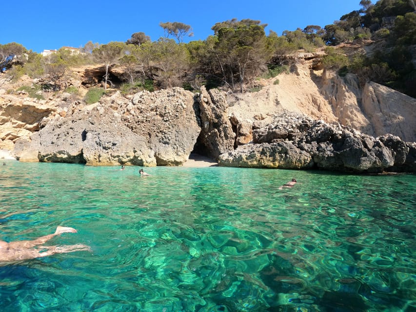 Cala Ratjada: SUP SAFARI TOUR 2H - Who This SUP Safari Tour Works Best For