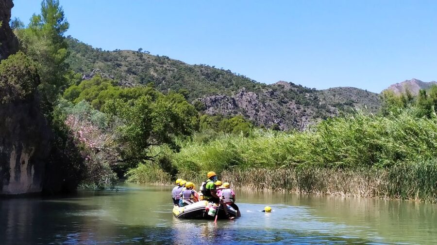 Calasparra: Almadenes Canyon Rafting with Caves and Rock Art - Swimming opportunities and wildlife spotting in the canyon