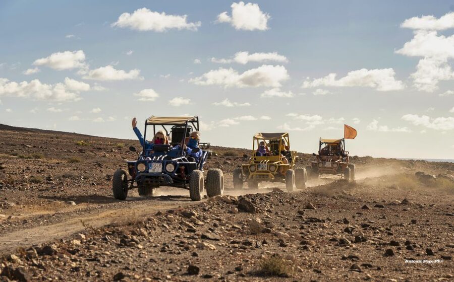 Caleta De Fuste: Guided Buggy Explorer Tour - Who this tour is best for