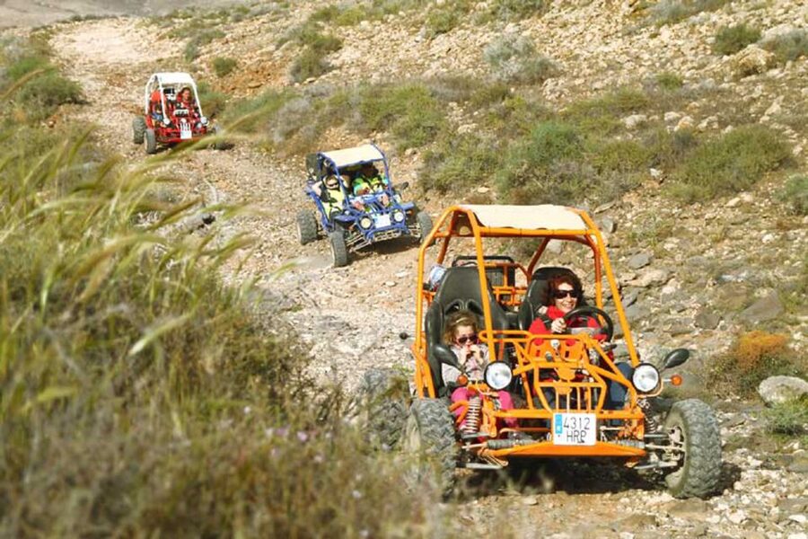 Caleta De Fuste: Guided Buggy Explorer Tour - Price and value: what you are really paying for