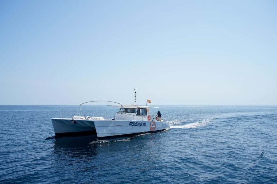 Calpe: Boat Tour with Sunset Option & DJ - Price and Value for a Short Mediterranean Sail