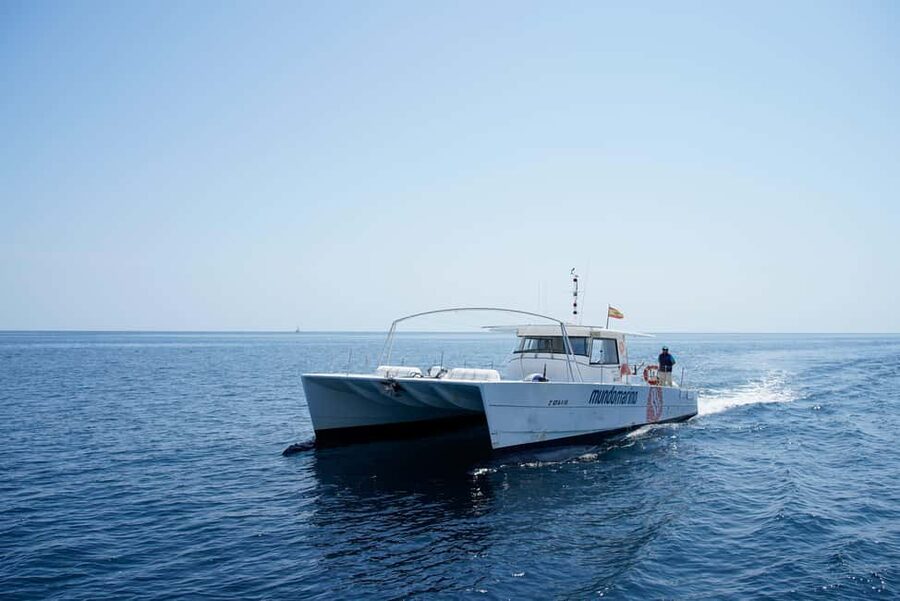 Calpe: Motor catamaran with a swim stop and optional lunch - What you see along the Calpe coast, cliffs, caves, and beachy contrasts