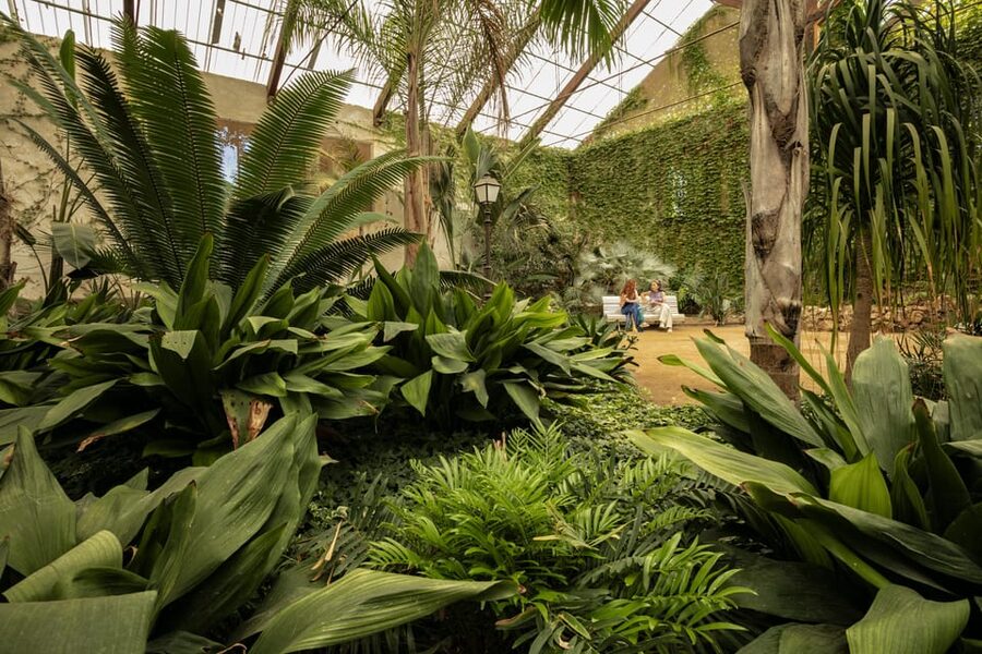Cambrils: Parc Samà Entry Ticket - Bird Conservation at the Aviary: Learning Without the Lecture Tone