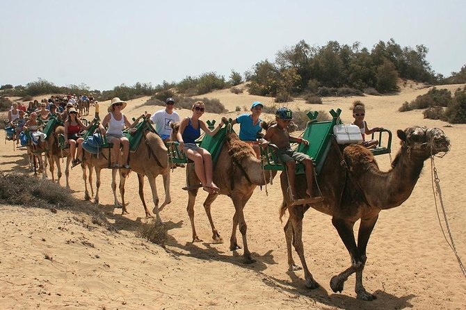 Camel Riding in Maspalomas Dunes - The 30-Minute Ride: What You’ll Actually Experience