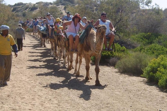 Camel Riding in Maspalomas Dunes - Should You Book Camel Riding in Maspalomas Dunes?