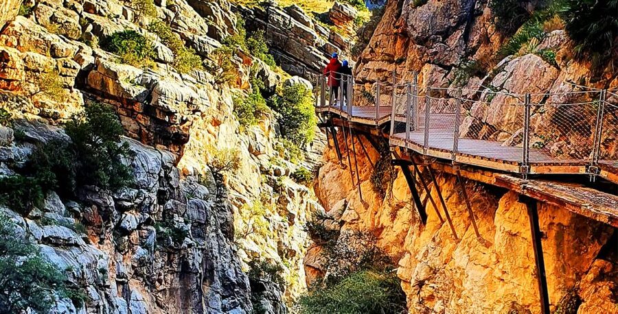 Caminito del Rey Guided Tour & Welcome Pack from Málaga - Inside the Caminito del Rey walk: 7.5 km at 100 metres above the gorge