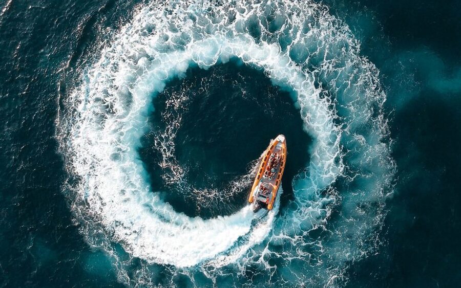 Can Picafort: Dolphin Watching Boat Tour, Swimming stop - Fast RIB Dolphin Spotting from Can Picafort Marina