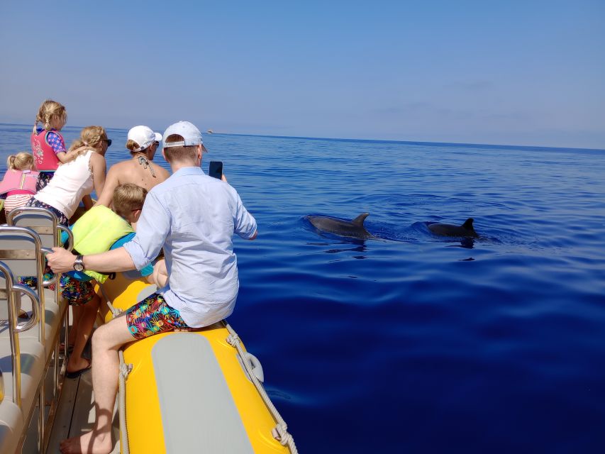 Can Picafort: Dolphin Watching Boat Tour, Swimming stop - Mallorca Northern Coast Views, Including Cap de Formentor