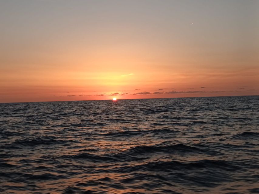 Can Picafort: Dolphin Watching Boat Tour, Swimming stop - Swimming and Snorkeling in Cool Blue Water, When the Sea Allows