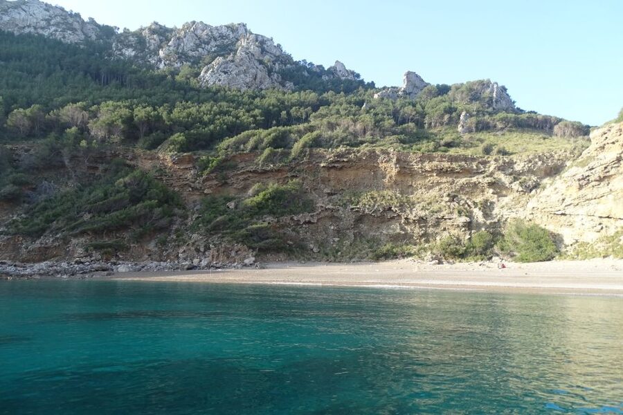 Can Picafort: Dolphin Watching Boat Tour, Swimming stop - Who This Tour Suits Best (and Who Should Skip It)