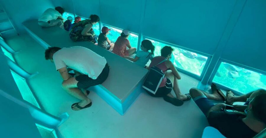 Cap Norfeu: Costa Brava Catamaran Trip with Underwater Views - The sailing route: Bay of Roses to Cala Jóncols viewpoints