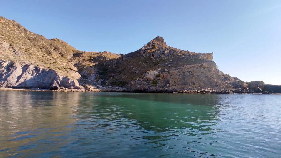 Cartagena: Guided boat tour to Isla de las Palomas - Key highlights you will care about