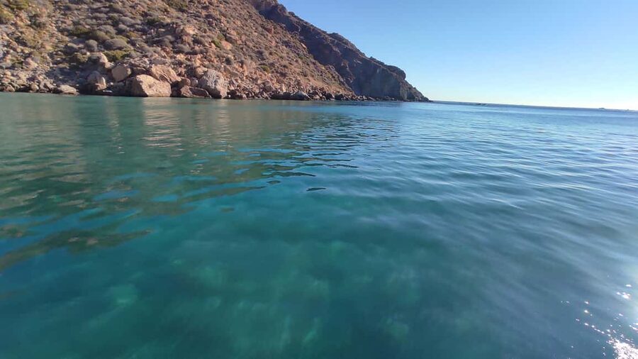Cartagena: Guided boat tour to Isla de las Palomas - Boat Comfort, Small Group Size, and Onboard Extras That Matter
