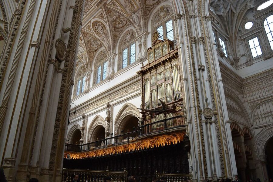 Cordoba: 3-Hour Private Tour - Judería Hour: the maze of white streets with Andalusian charm