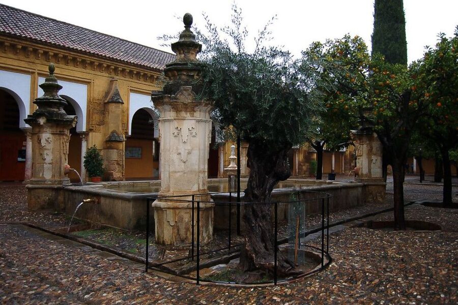 Cordoba: 3-Hour Private Tour - Tickets, skip-the-line, and the small money details that matter