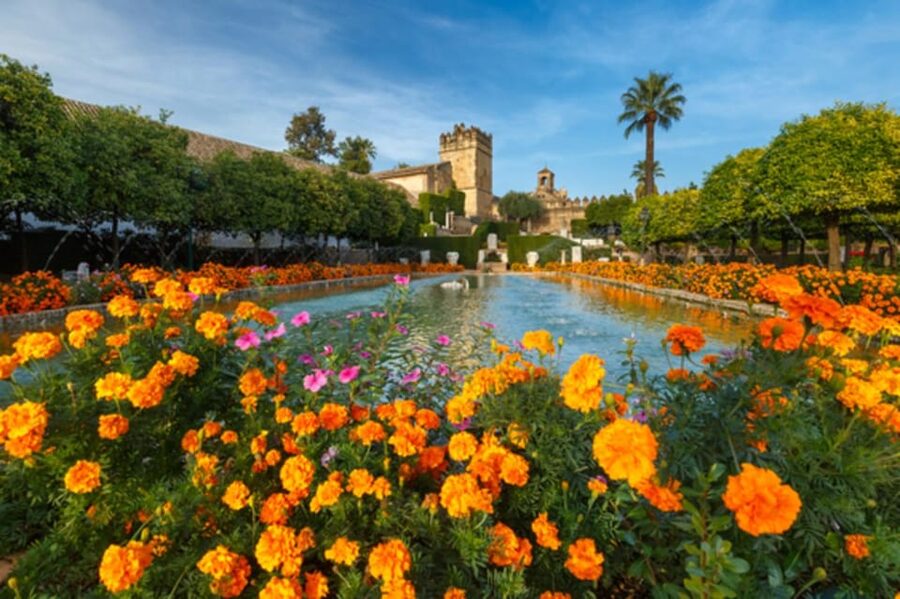 Cordoba: Alcazar of Christian Monarchs 1–Hour Guided Tour - Inside rooms full of symbolism and power shifts