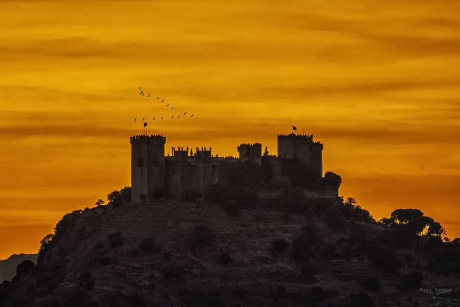 Córdoba: Almódovar Castle Entrance Ticket - Finding the Game of Thrones Filming Spots