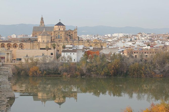 Cordoba & Carmona with Mezquita, Synagoge & Patios from Seville - What This Day Is Like on Your Feet (And How to Prep)