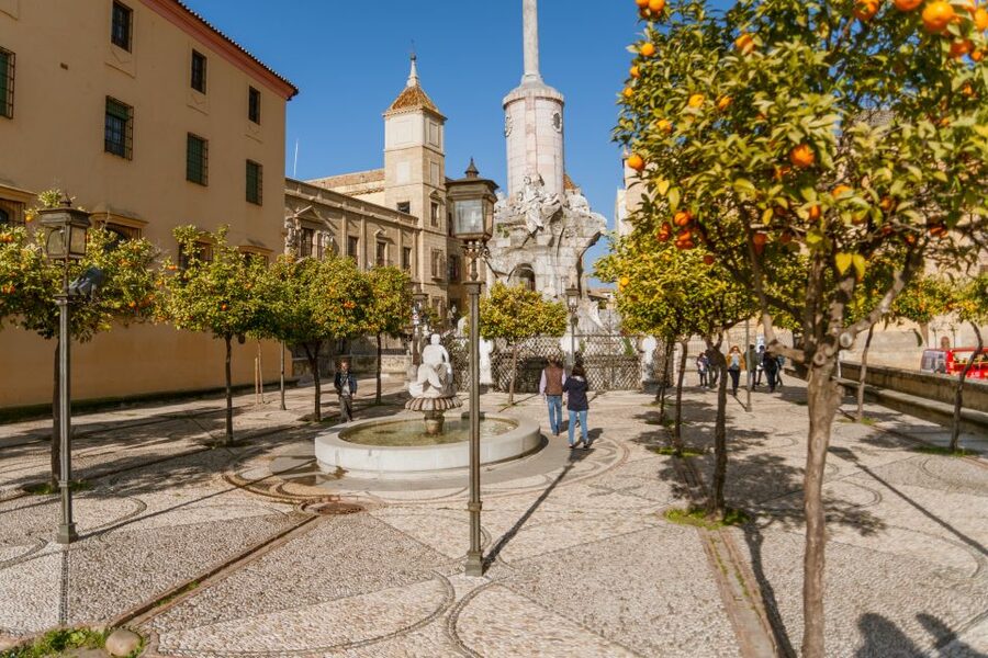 Córdoba: City Sightseeing Hop-On Hop-Off Bus Tour - Practical Stuff: Boarding Points, Timing, and How to Avoid Hassle