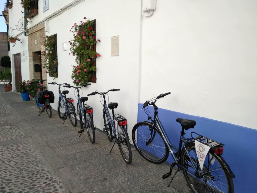 Córdoba Daily Highlights Bike Tour - Price and value for $34 in a city that eats time