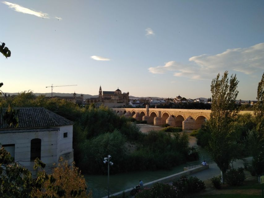 Córdoba Daily Highlights Bike Tour - A 2-hour bike loop that actually gives you orientation