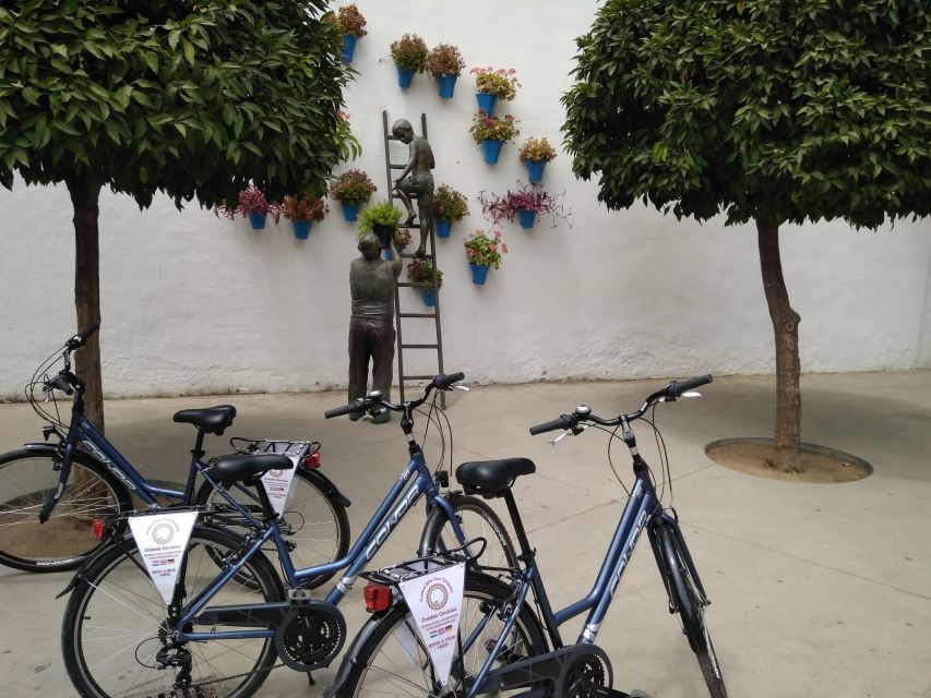 Córdoba Daily Highlights Bike Tour - Patios, Viana Palace, and the Córdoba people actually brag about