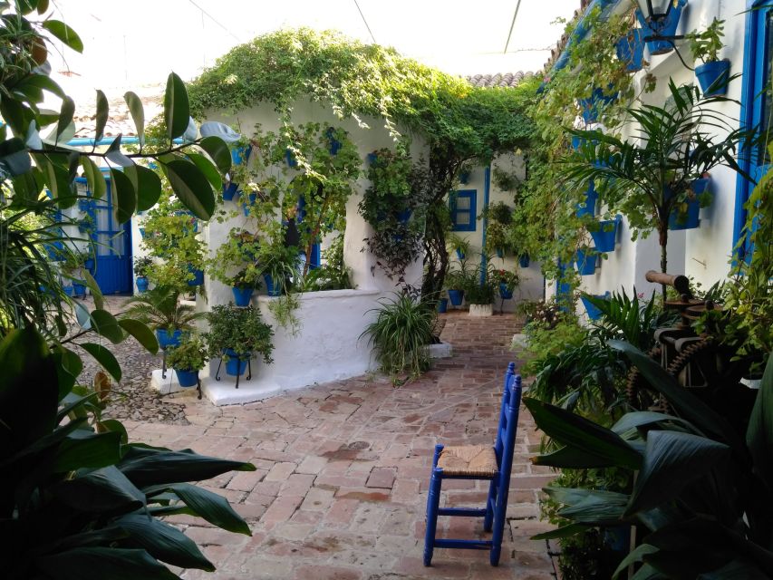 Córdoba Daily Highlights Bike Tour - Rain plan reality: ponchos, and a switch to walking