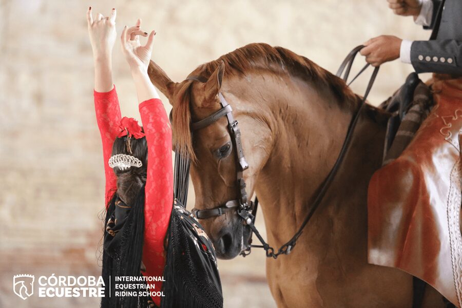 Cordoba: Equestrian Show General Entry - Caballerizas Reales: the 16th-century stage that makes it feel special