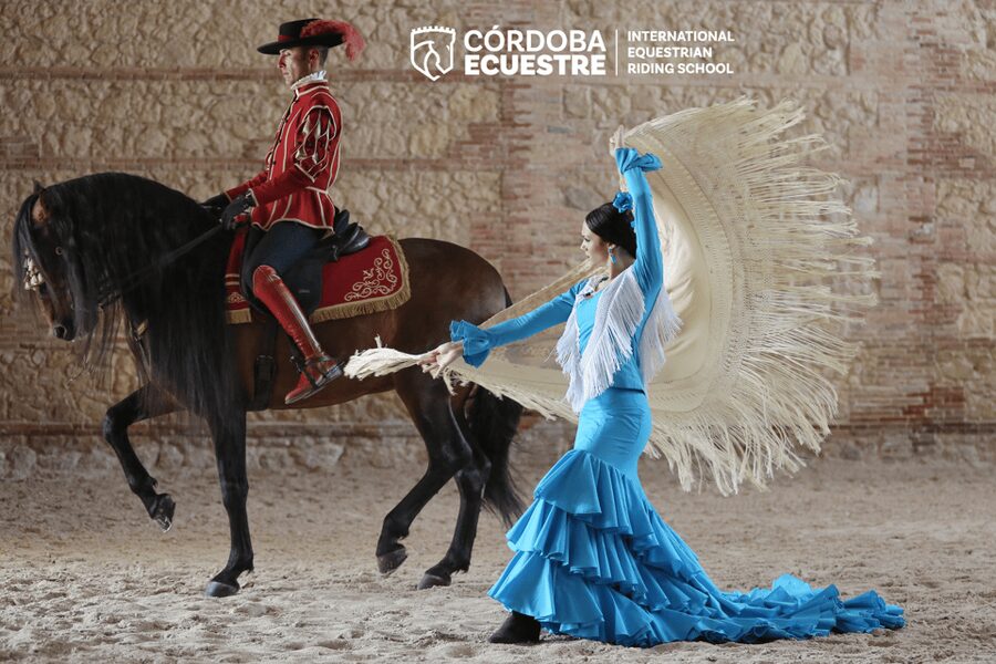 Cordoba: Equestrian Show General Entry - The horses: why Andalusian work feels different