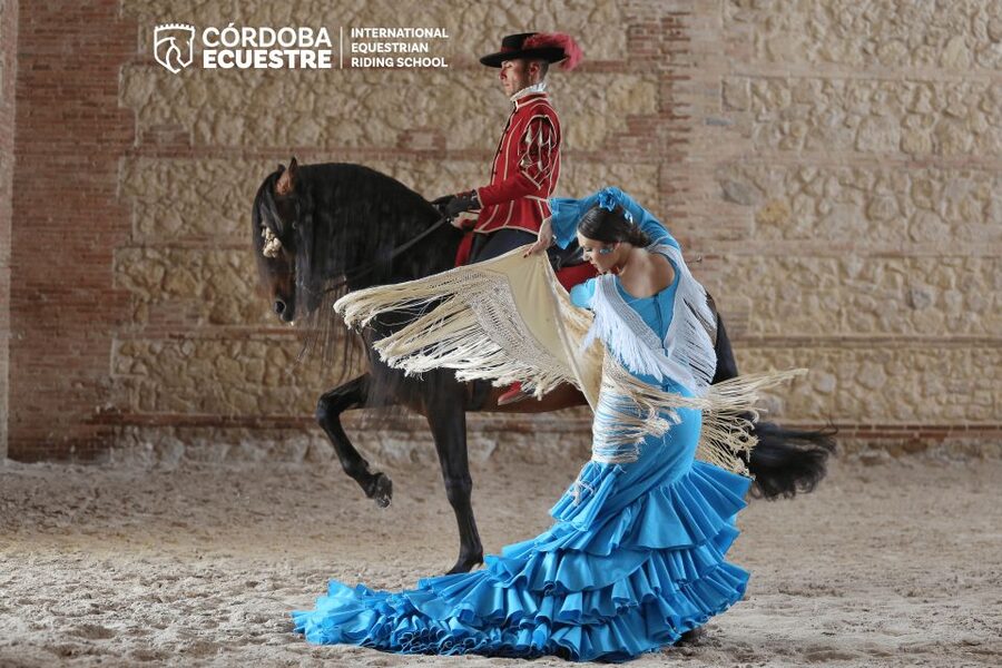 Cordoba: Equestrian Show General Entry - Dressage, vaquera, Alta Escuela, and what each part means to you