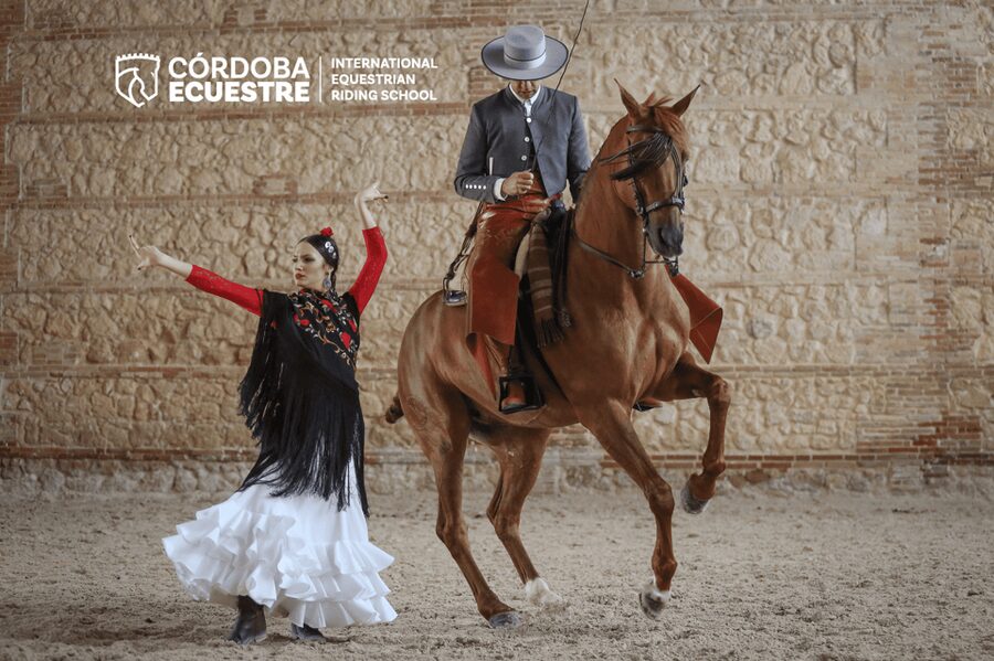 Cordoba: Equestrian Show General Entry - How the 70 minutes actually moves through the night