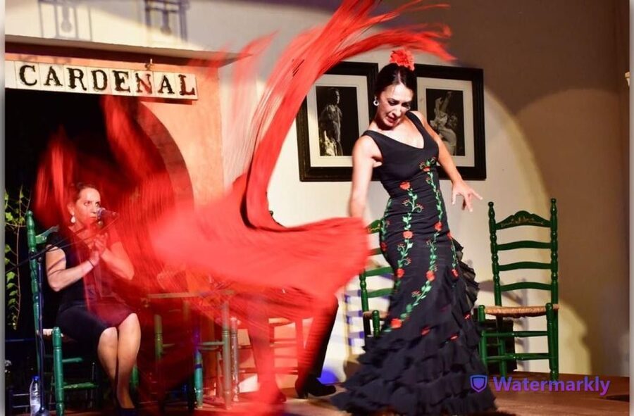 Córdoba: Flamenco Show Ticket with Drinks - Tablao Flamenco El Cardenal in Córdoba, made for close-up flamenco