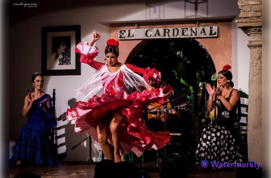 Córdoba: Flamenco Show Ticket with Drinks - Timing the evening: what to do before the show starts