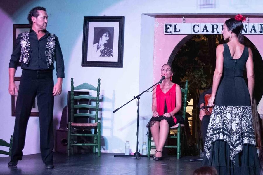 Córdoba: Flamenco Show Ticket with Drinks - Price and value for $29: what makes this feel fair