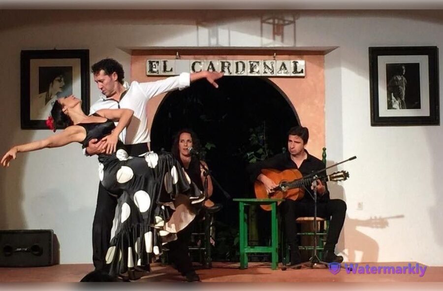 Córdoba: Flamenco Show Ticket with Drinks - Who should book this flamenco show in Córdoba