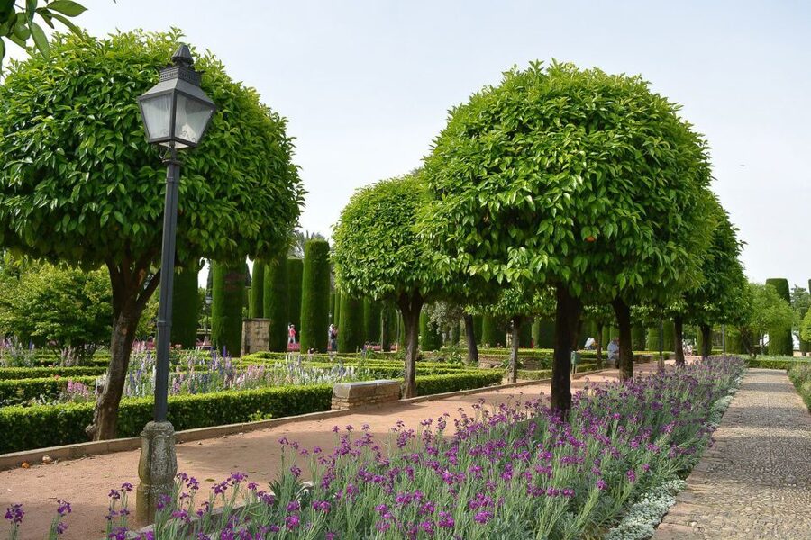 Cordóba: Gardens & Fortress of Catholic Monarchs Guided Tour - Price and Value: $35 for a Guided Hour in Cordoba