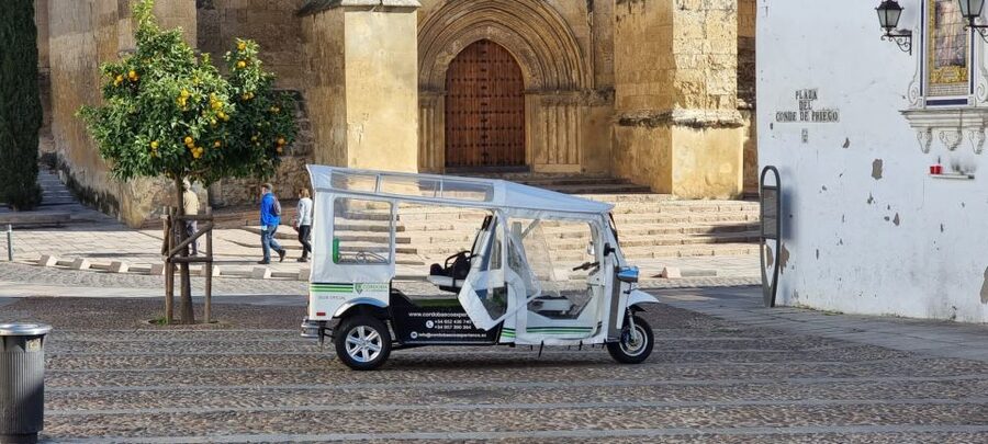 Córdoba: Guided City Tour by Tuk-Tuk - The guide really makes the difference: Lolo, Manuel, Lucy, and more