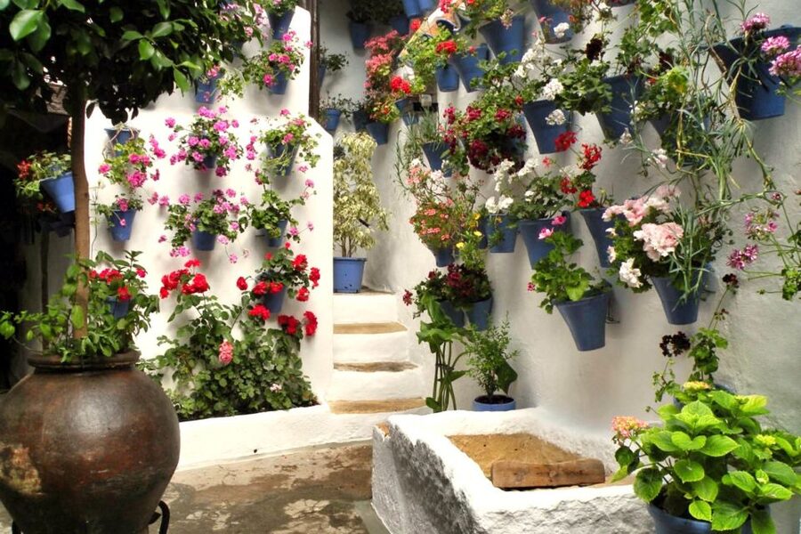 Córdoba: Guided Tour of the Patios - Key highlights I’d prioritize