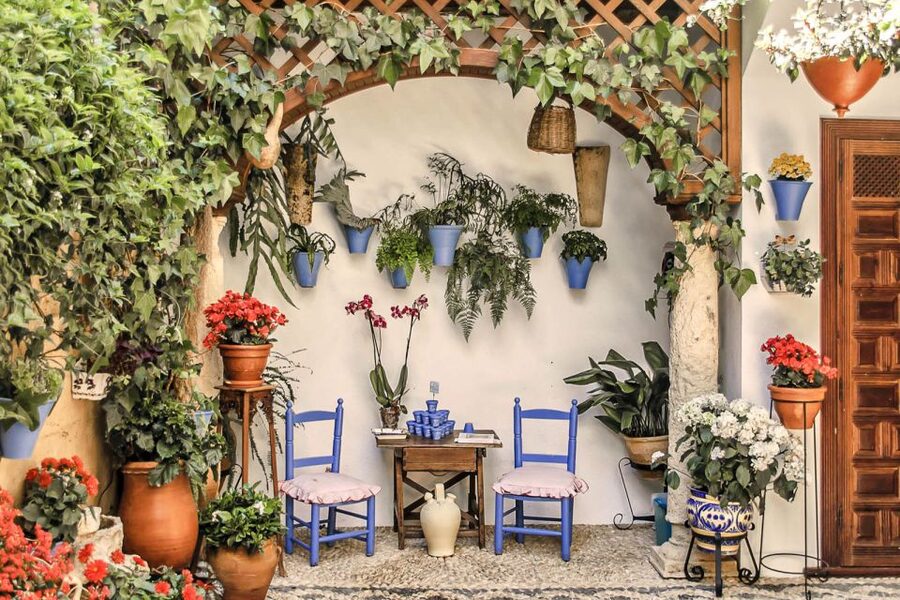 Córdoba: Guided Tour of the Patios - Córdoba patios, guided: where flowers meet history