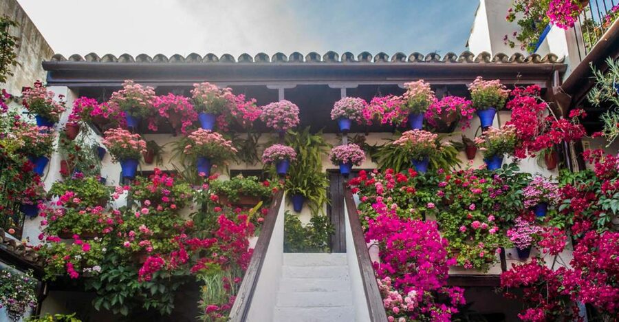 Córdoba: Guided Tour of the Patios - What you’ll actually see: a selection of popular patios