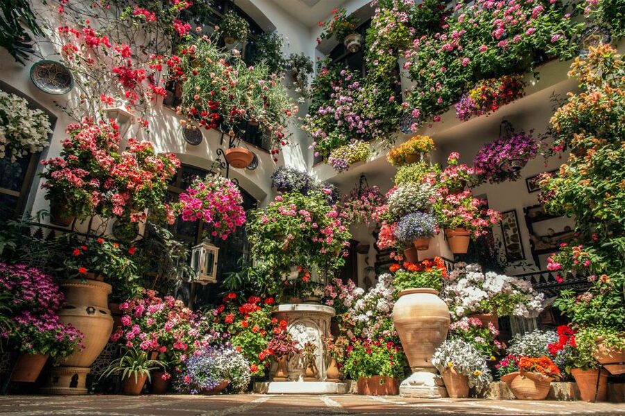 Córdoba: Guided Tour of the Patios - The Roman-to-modern story the guide connects for you
