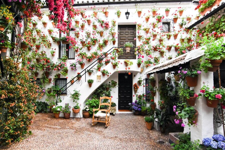 Córdoba: Guided Tour of the Patios - Why UNESCO recognized patios tied to May flowers