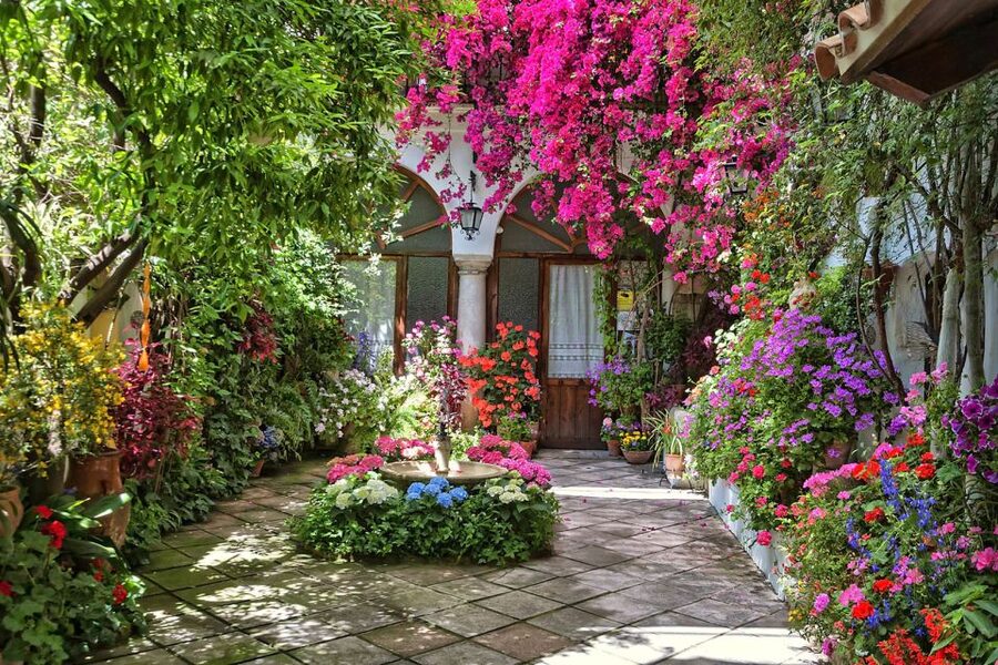 Córdoba: Guided Tour of the Patios - Value check: is $23 per person worth it?
