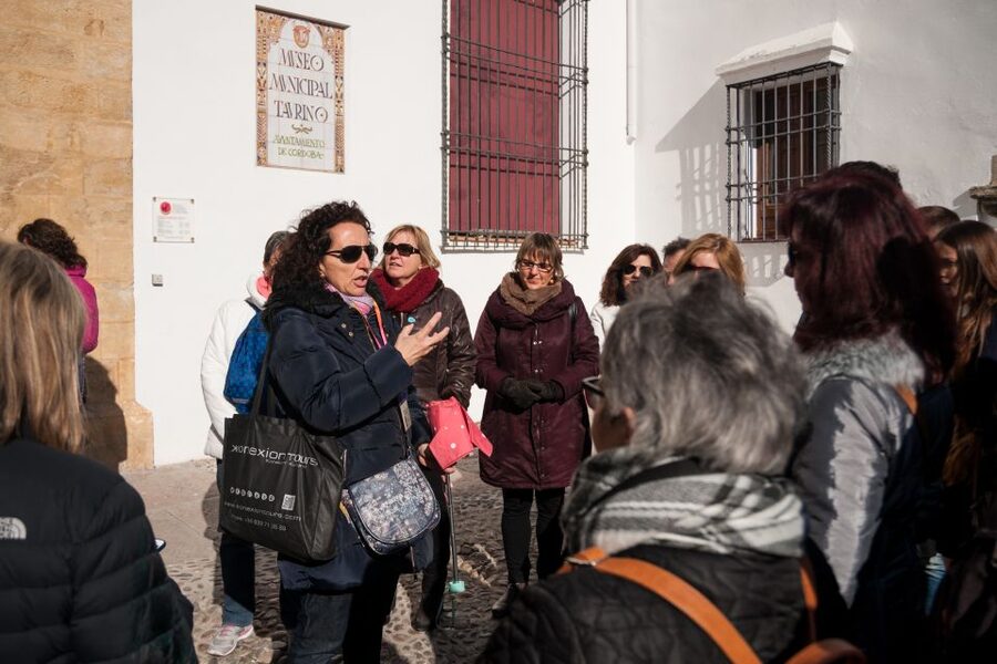 Cordoba: Jewish Quarter and Mosque-Cathedral Guided Tour - Entering the Mosque-Cathedral: The Column Labyrinth With Horseshoe Arches