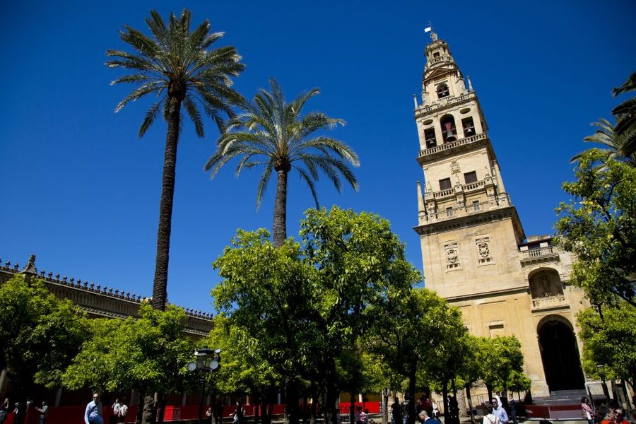 Córdoba: Mosque-Cathedral, Jewish Quarter and Alcázar Tour - Value check: is $53 a smart deal for these monuments?
