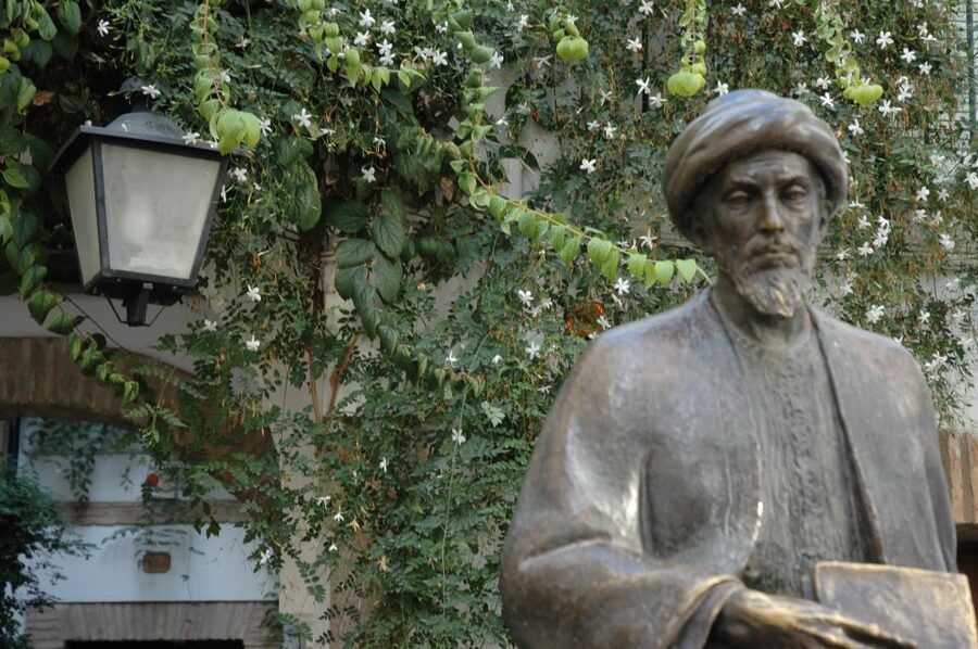 Cordoba Mosque & Jewish Quarter Tour with Tickets - Judería de Córdoba Walk: Zoco, Jewish Street, and Maimonides