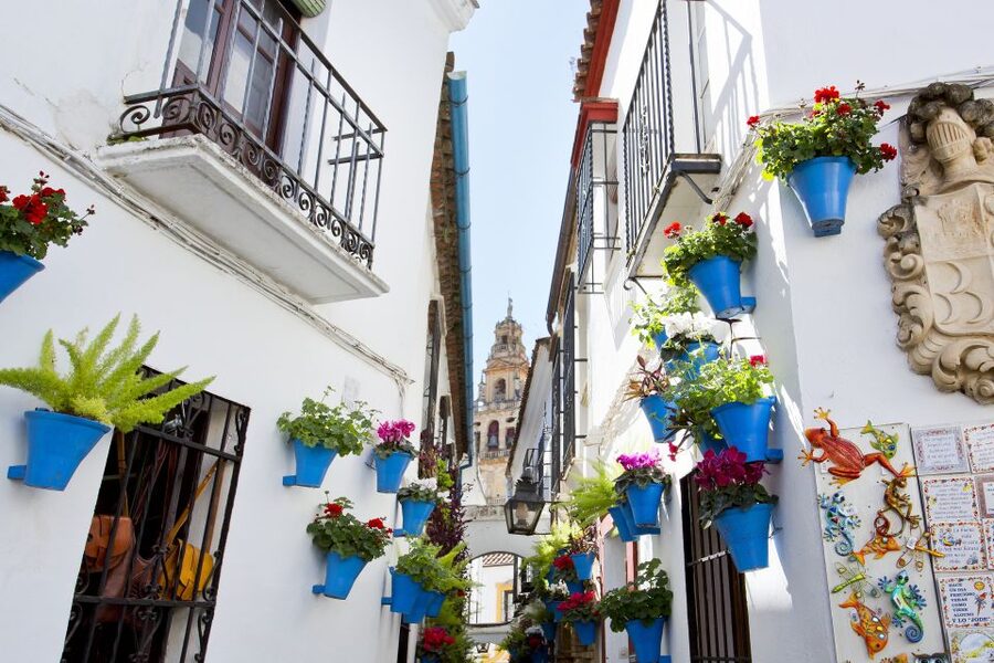 Cordoba Mosque & Jewish Quarter Tour with Tickets - Price and Value: What $40 Buys in Cordoba